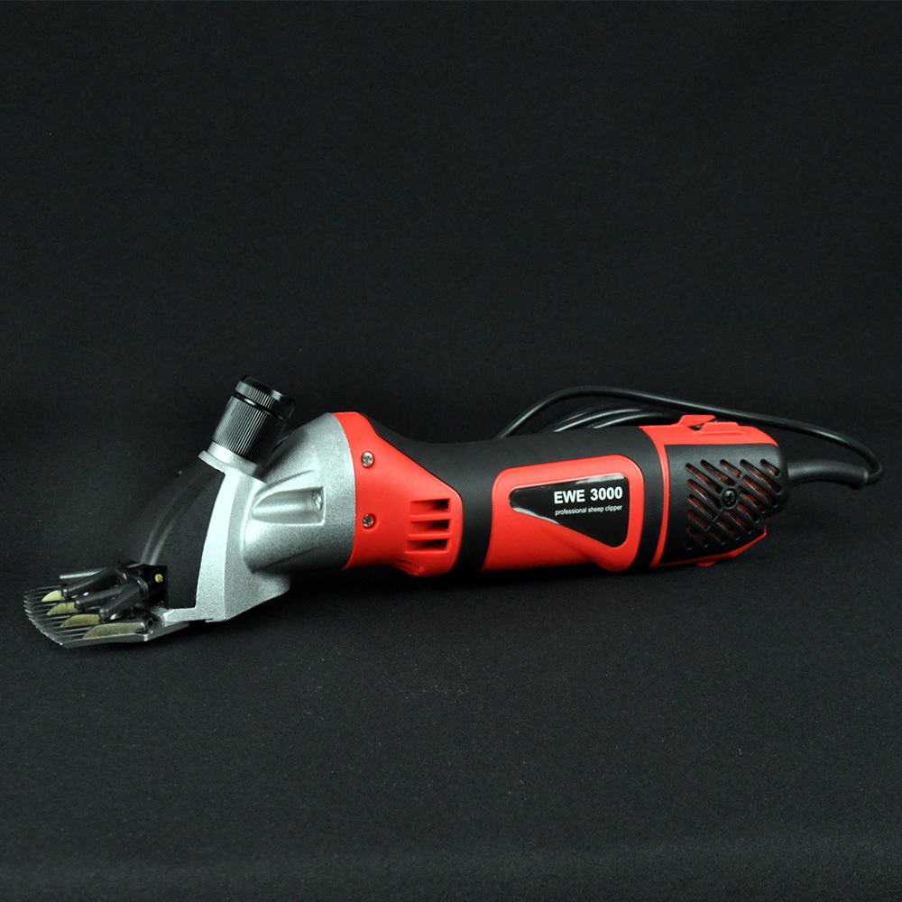 ewe 3000 