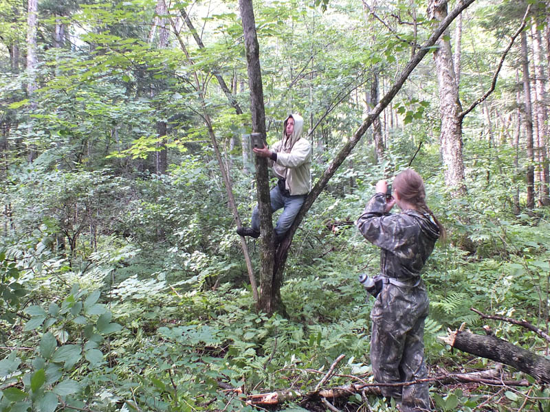 Фотоловушка Филин