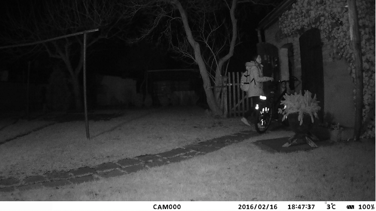 Фотоловушка Филин